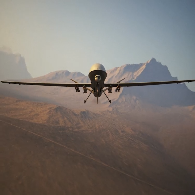 Raptor